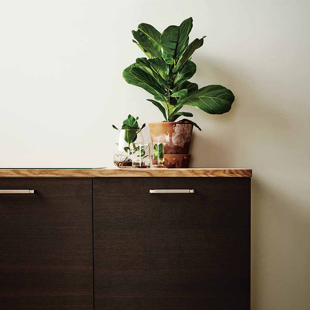Handle Rattan - 160mm - Brushed Brass